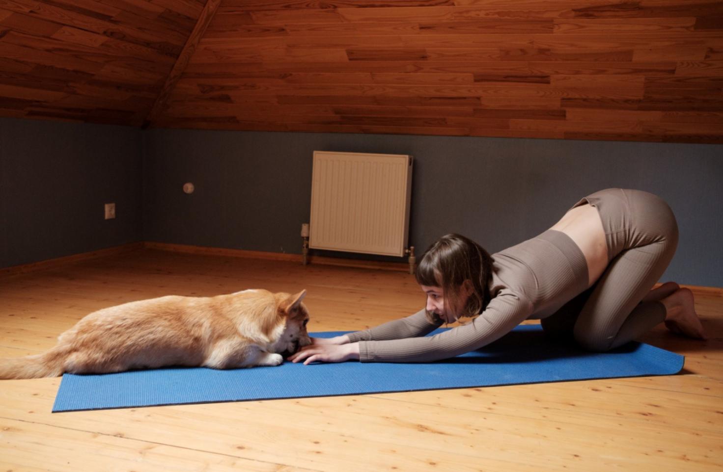 Espacio de práctica de yoga restaurativo en Plextolin, Ciudad de México